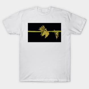 Vine Leaf on black background by Avril Thomas T-Shirt